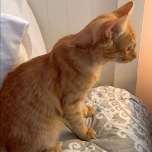 Meet your Posher, Kalina